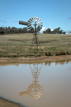 A WindmillPhotography by Sharon Alston